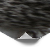 Impression du monochrome de réserve (Coin)