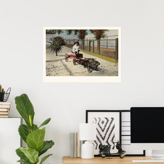 Impression du panier d'Express Alligator (Bureau à domicile)