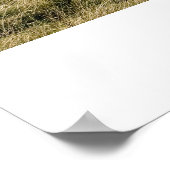 Impression du phare Souter (Coin)