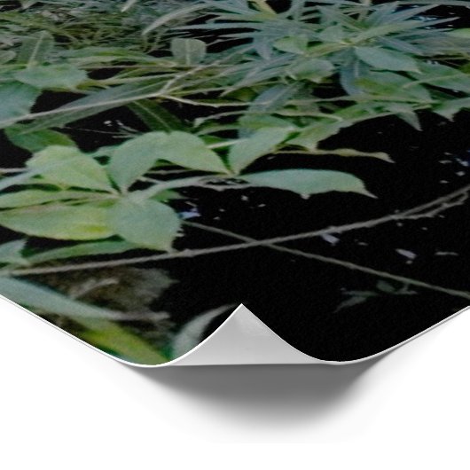 Impression du pont rouge (Coin)