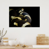 Impression du serpent royal de Californie (Cuisine)