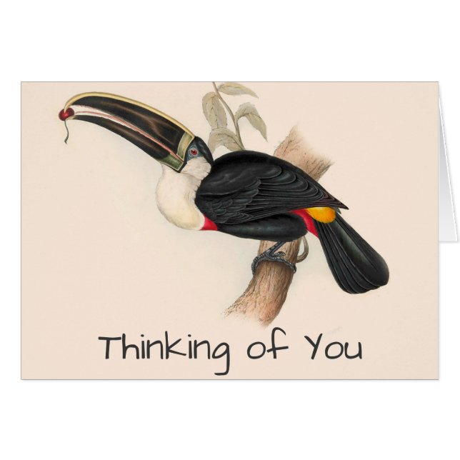 Impression du Toucan de Cuvier : Oiseau Tropical V (Devant horizontal)