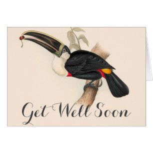 Impression du Toucan de Cuvier : Oiseau Tropical V