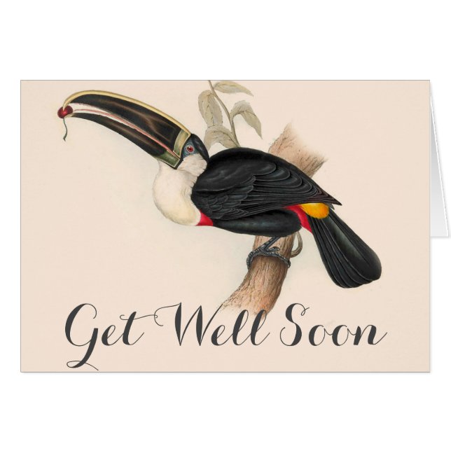 Impression du Toucan de Cuvier : Oiseau Tropical V (Devant horizontal)