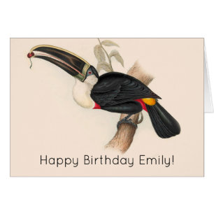 Impression du Toucan de Cuvier : Oiseau Tropical V