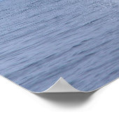 Impression du veau de baleine à bosse (Coin)