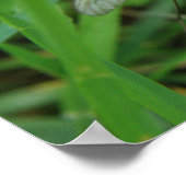 Impression du volet de grue (Coin)