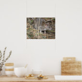 Impression du voyage en terrain sauvage de Rat (Cuisine)