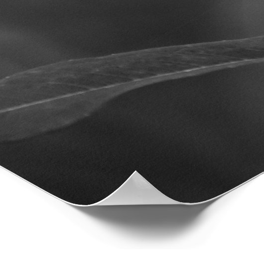 Impression d'un fusil d'herbe à feu (Coin)