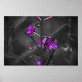 Impression d'un fusil d'herbe à feu (Devant)