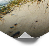 Impression dune de sable (Coin)