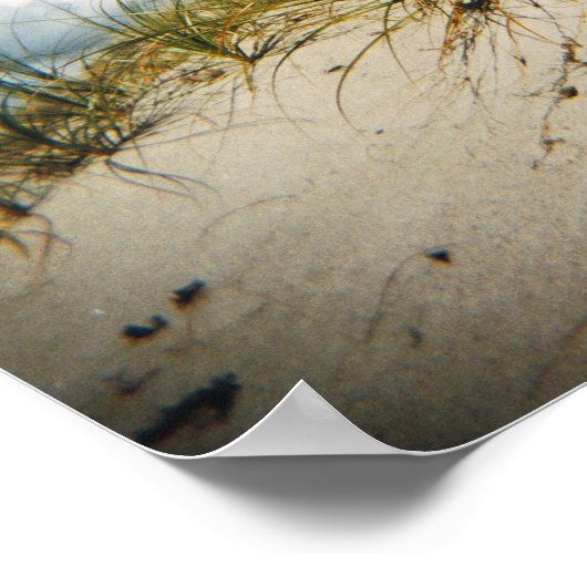 Impression dune de sable (Coin)