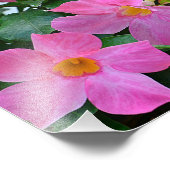 Impression d'une photo rose (Coin)