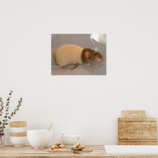 Impression d'une tablette Rats (Cuisine)