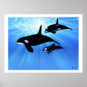 IMPRESSION ECHO LUMINEUSE (Devant)