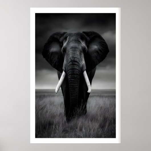 Impression éléphant de safari, noir et blanc, rega (Devant)