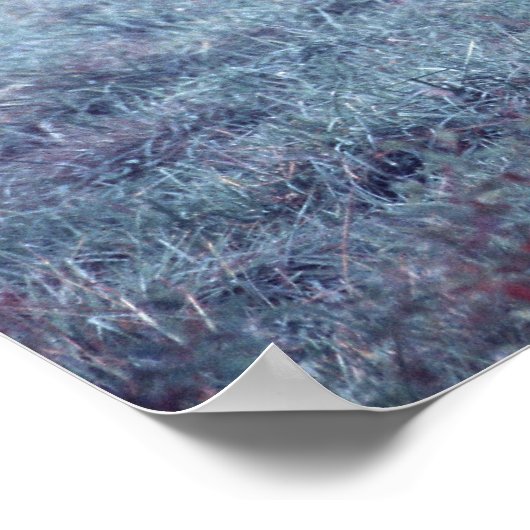 Impression Elk sans frontières (Coin)