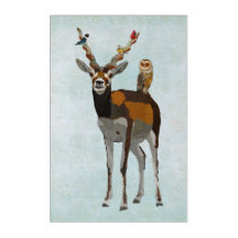 ANTILOPE ET PLUMES