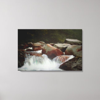 Impression En Saison De Sécheresse Au Printemps