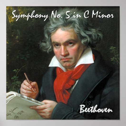 Impression en toile Beethoven (Devant)