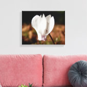 Impression en toile blanche Cyclamen (Insitu(Salon))