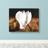 Impression en toile blanche Cyclamen (Insitu (Plancher de Bois))