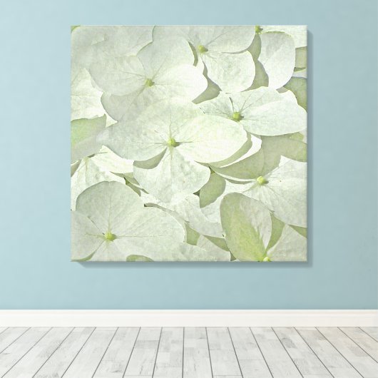 Impression en toile blanche Hydrangea (Insitu (Plancher de Bois))