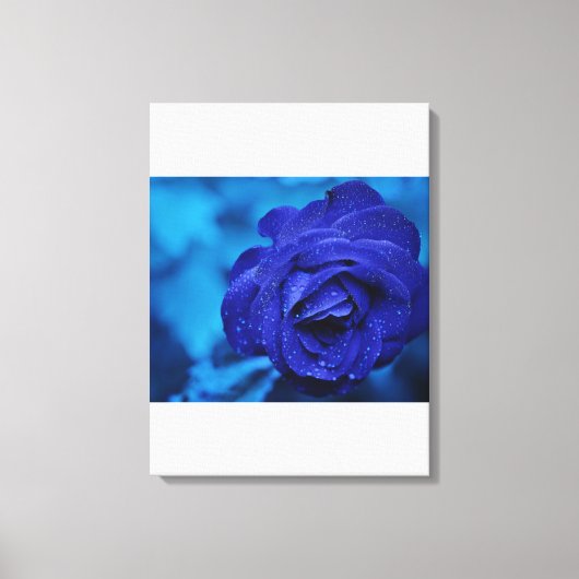 Impression en toile bleue étirée (Recto)