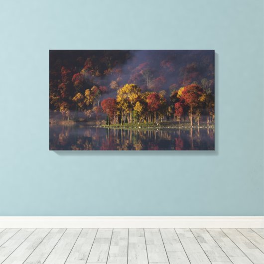 Impression en toile couleur de pointe (Insitu (Plancher de Bois))