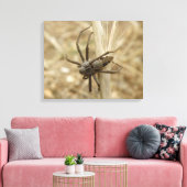 Impression en toile d'araignée déplaisante (Insitu(Salon))