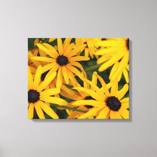 Impression en toile de Susans aux yeux noirs (Recto)