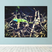 Impression en toile étirée Lizard vert (Insitu (Plancher de Bois))