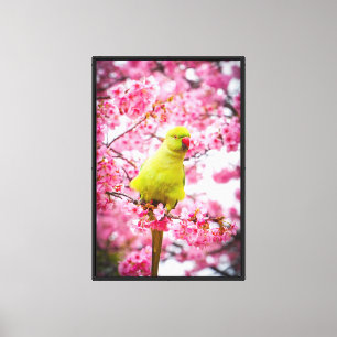 Impression en toile étirée - Perruche en fleur de