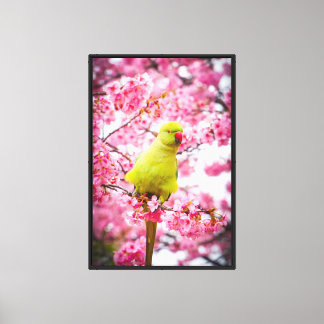 Impression en toile étirée - Perruche en fleur de