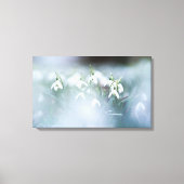 Impression en toile étirée - Snowdrops (Recto)