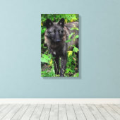 Impression en toile étirée Wolf noir (Insitu (Plancher de Bois))