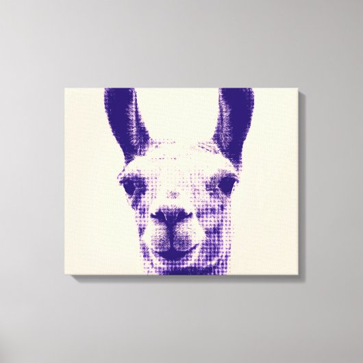Impression en toile Llama (Recto)