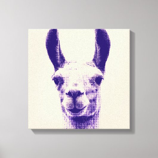 Impression en toile Llama (Recto)