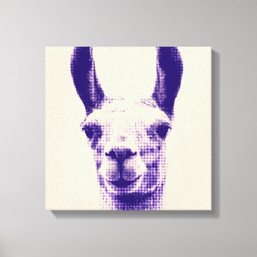Impression en toile Llama (Recto)