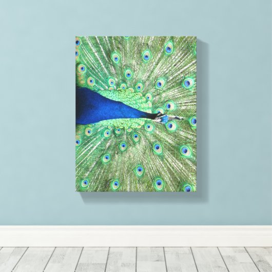 Impression en toile - Peacock avec queue foulée (Insitu (Plancher de Bois))