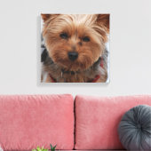 Impression en toile Yorkie (Insitu(Salon))
