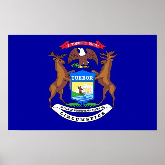 Impression encadrée avec le drapeau du Michigan, É (Devant)