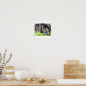 Impression encadrée Black Lab Daydreamer (Cuisine)