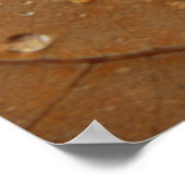 Impression encadrée d'automne (Coin)