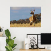 Impression encadrée de cerf à queue blanche (Bureau à domicile)