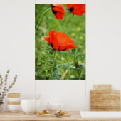 Impression encadrée de coquelicot (Cuisine)