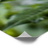 Impression encadrée de Dahlia Jaune (Coin)