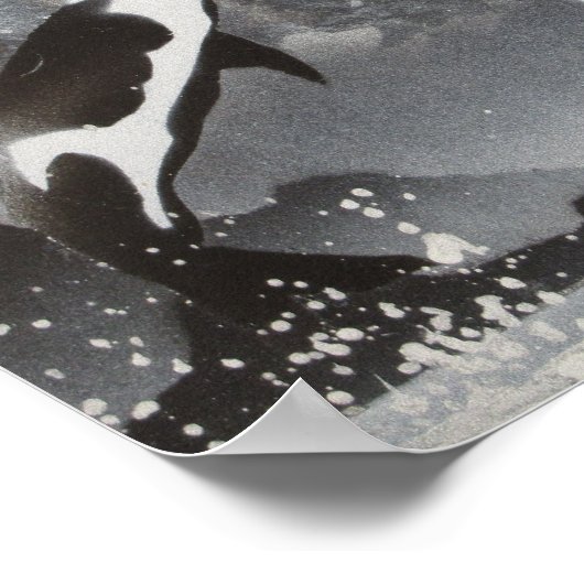 Impression encadrée de la baleine tueuse (Coin)