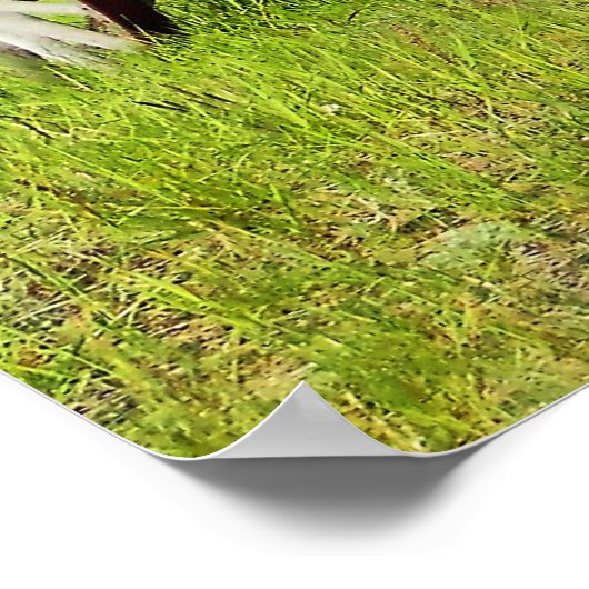 Impression encadrée en Wagon abandonnée (Coin)