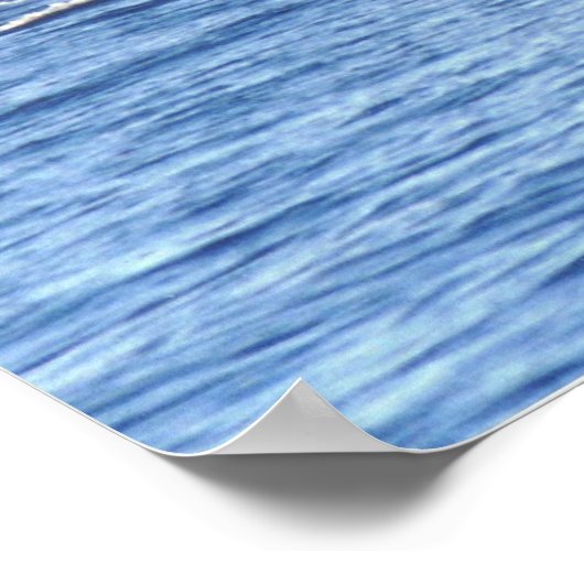 Impression encadrée Orca (Coin)